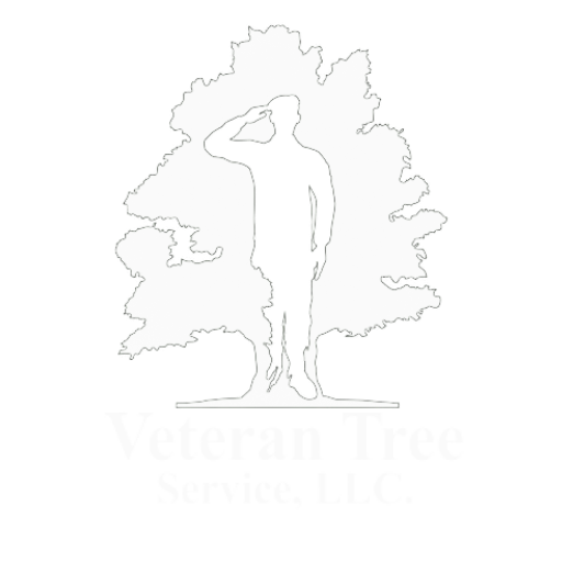 Veteran Tree Service, LLC