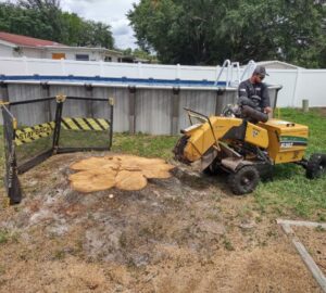 ISA Certified crew handling a technical tree removal for Veteran Tree Service