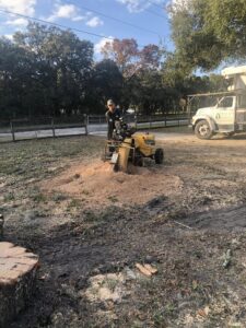 Veteran Tree Service crew clearing branches after a storm in New Port Richey, FL