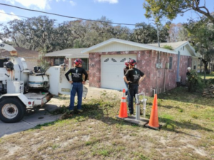 Completed tree service job by veteran-owned Veteran Tree Service