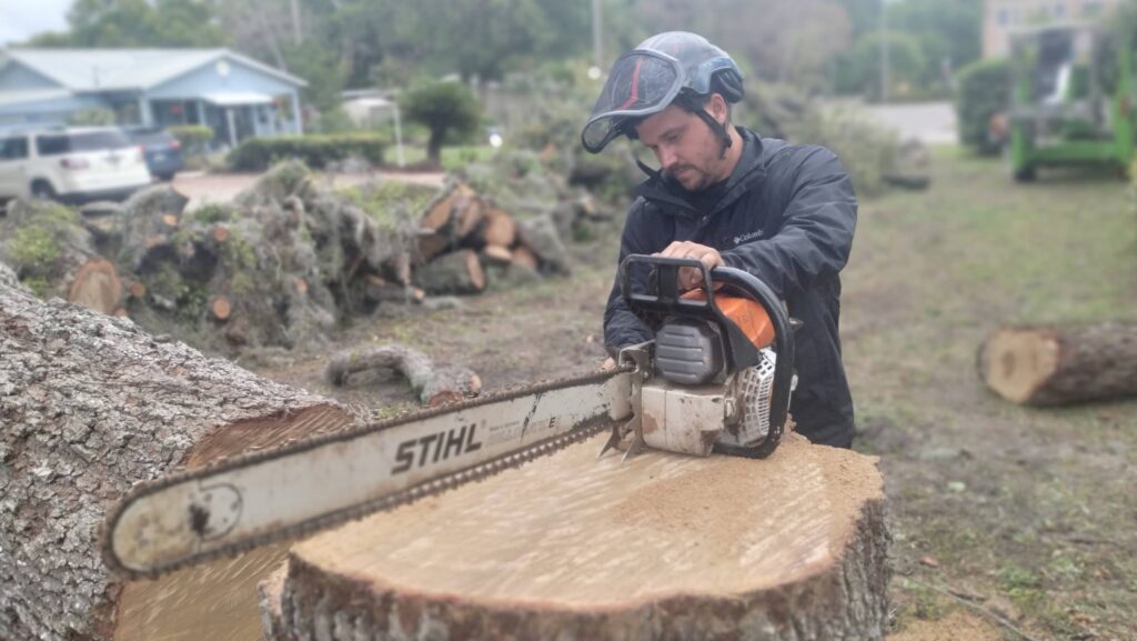 Veteran Tree Service crew operating a chainsaw on a tree job in New Port Richey, FL