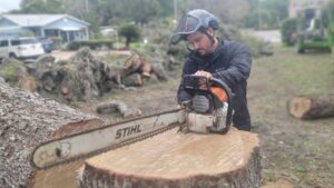 Veteran Tree Service crew operating a chainsaw on a tree job in New Port Richey, FL