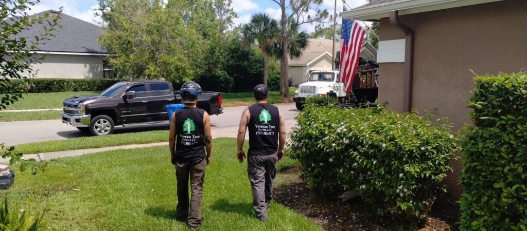The Veteran Tree Service crew in New Port Richey, FL