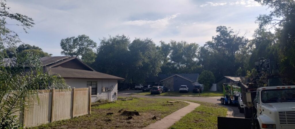 Clean, cleared property after tree removal