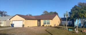 Property after complete tree removal in Pasco County, FL