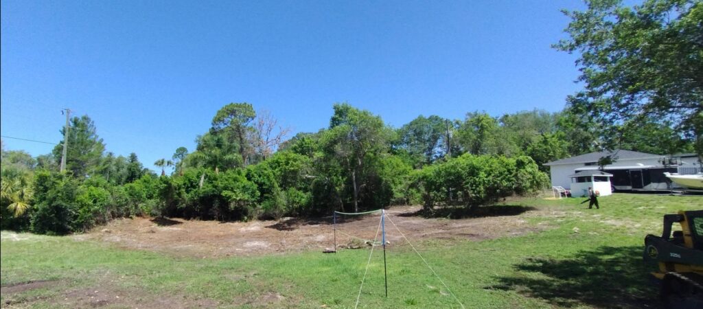 Professional tree trimming in New Port Richey, FL